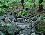 Click image for larger version. 

Name:	Sourland Stream (Kendall's View) Unmodified Color 4x5_00001RPF4521DS.jpg 
Views:	72 
Size:	150.7 KB 
ID:	209826