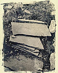 Click image for larger version. 

Name:	Cyanotype toned in walnut.jpg 
Views:	125 
Size:	139.1 KB 
ID:	214887