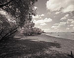 Lake Shore-PS.jpg