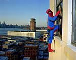 Click image for larger version. 

Name:	DulcePinzonSpidermanSm.jpg 
Views:	10 
Size:	60.7 KB 
ID:	74031