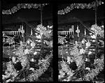 Click image for larger version. 

Name:	xmas_tree_4x5stereo_f22_1h5_ilfvc_y_3a.jpg 
Views:	163 
Size:	81.7 KB 
ID:	223667