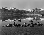 Click image for larger version. 

Name:	HP540045Tahoe15May2020373-Pano-Edit-2.jpg 
Views:	269 
Size:	56.5 KB 
ID:	203788