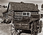 Click image for larger version. 

Name:	Pioneer Homestead Flourisant Colorado.jpg 
Views:	69 
Size:	109.4 KB 
ID:	217966