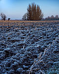 Click image for larger version. 

Name:	Frosty fens_.jpg 
Views:	141 
Size:	163.6 KB 
ID:	162142