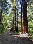 Click image for larger version. 

Name:	Purisima trail, TK23s on cart_J.jpg 
Views:	27 
Size:	132.6 KB 
ID:	227849