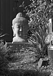 Click image for larger version. 

Name:	Buddha.jpg 
Views:	22 
Size:	68.9 KB 
ID:	229173