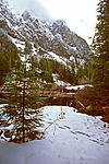 Click image for larger version. 

Name:	In the Cascades.jpg 
Views:	52 
Size:	129.2 KB 
ID:	213207