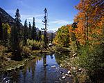 Click image for larger version. 

Name:	Bishop Creek near Lake Sabrina, 2015.jpg 
Views:	201 
Size:	107.6 KB 
ID:	142128