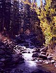 Click image for larger version. 

Name:	Bishop Creek South Fork 2015.jpg 
Views:	131 
Size:	110.9 KB 
ID:	142129