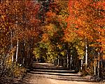 Click image for larger version. 

Name:	The Road to North Lake, 2015.jpg 
Views:	146 
Size:	151.3 KB 
ID:	142130