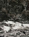 Fairey Pools, Keri Keri, NZ_16x20.jpg