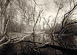 RiverEPinhole1 11-33a.jpg