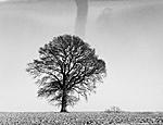Click image for larger version. 

Name:	Lone Tree - Chipping Camden - Jan 2022.jpg 
Views:	38 
Size:	69.5 KB 
ID:	231608